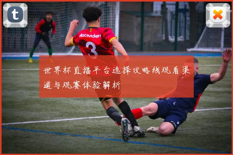 世界杯直播平台选择攻略线观看渠道与观赛体验解析