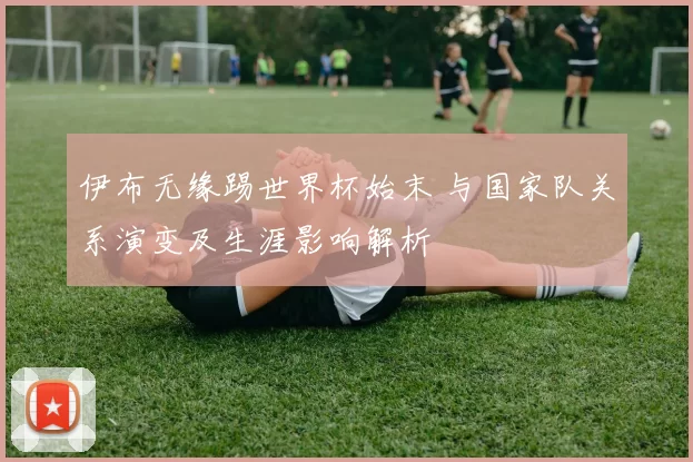 伊布无缘踢世界杯始末 与国家队关系演变及生涯影响解析