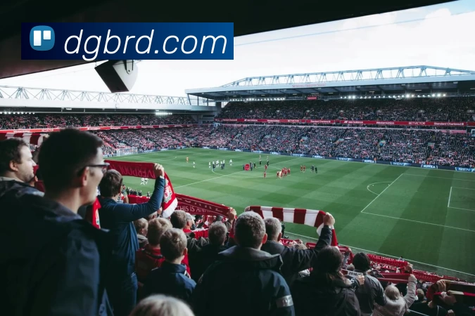 App Interface Preview